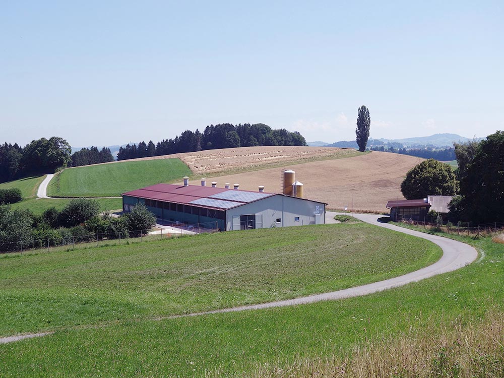 ganzer Stall von weiter weg