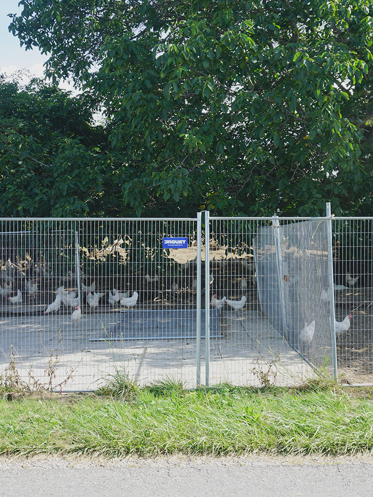 Zaun Allwetterplatz